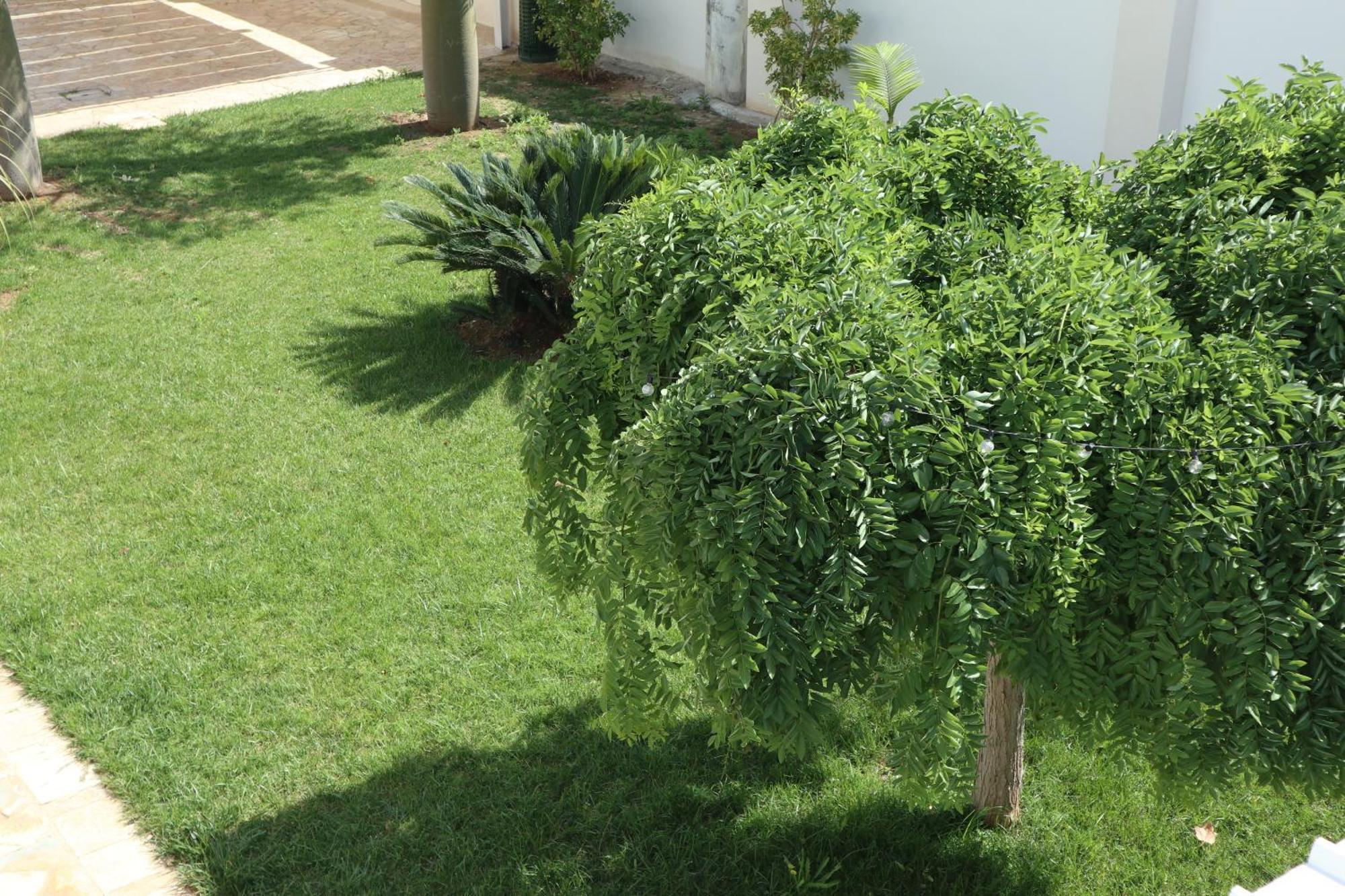 Bed and Breakfast Adagio Salentino Porto Cesareo Exterior foto